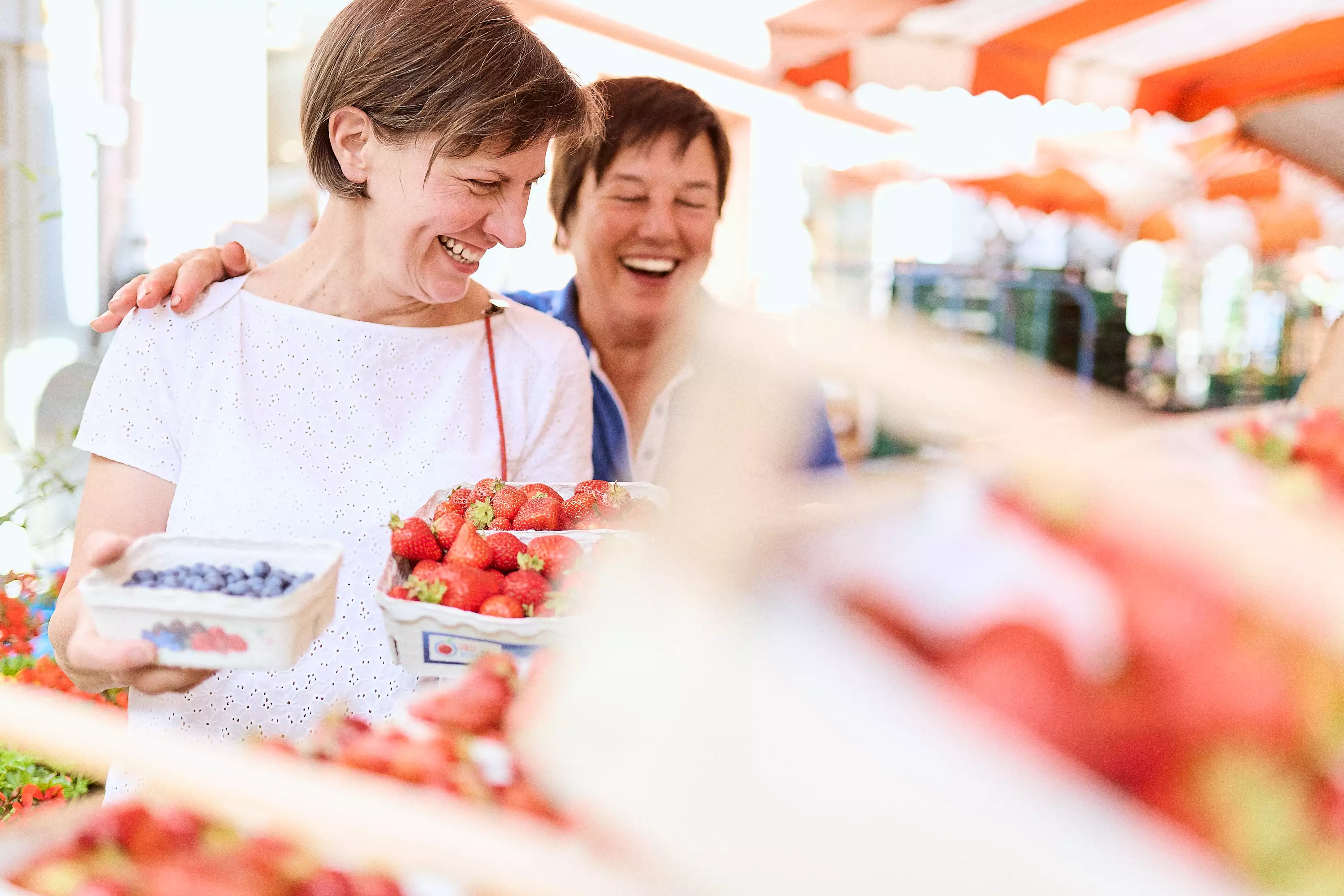 Blaue Traube | Wangen